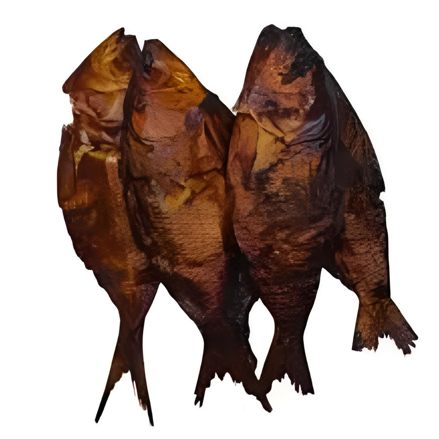 Dried Bonga Fish
