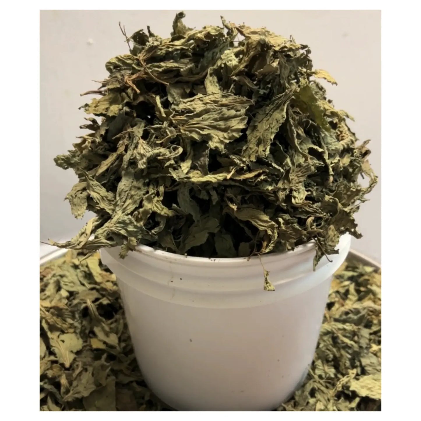 Ewedu (Jute Leaves) 1 paint