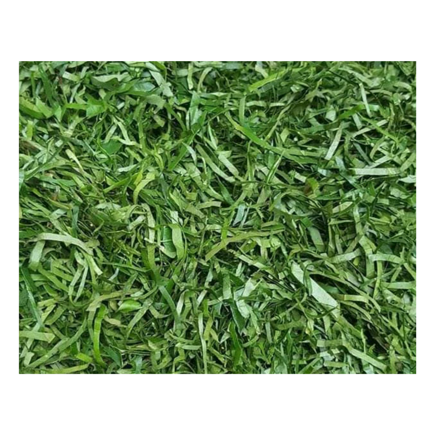 Ukazi Leaves