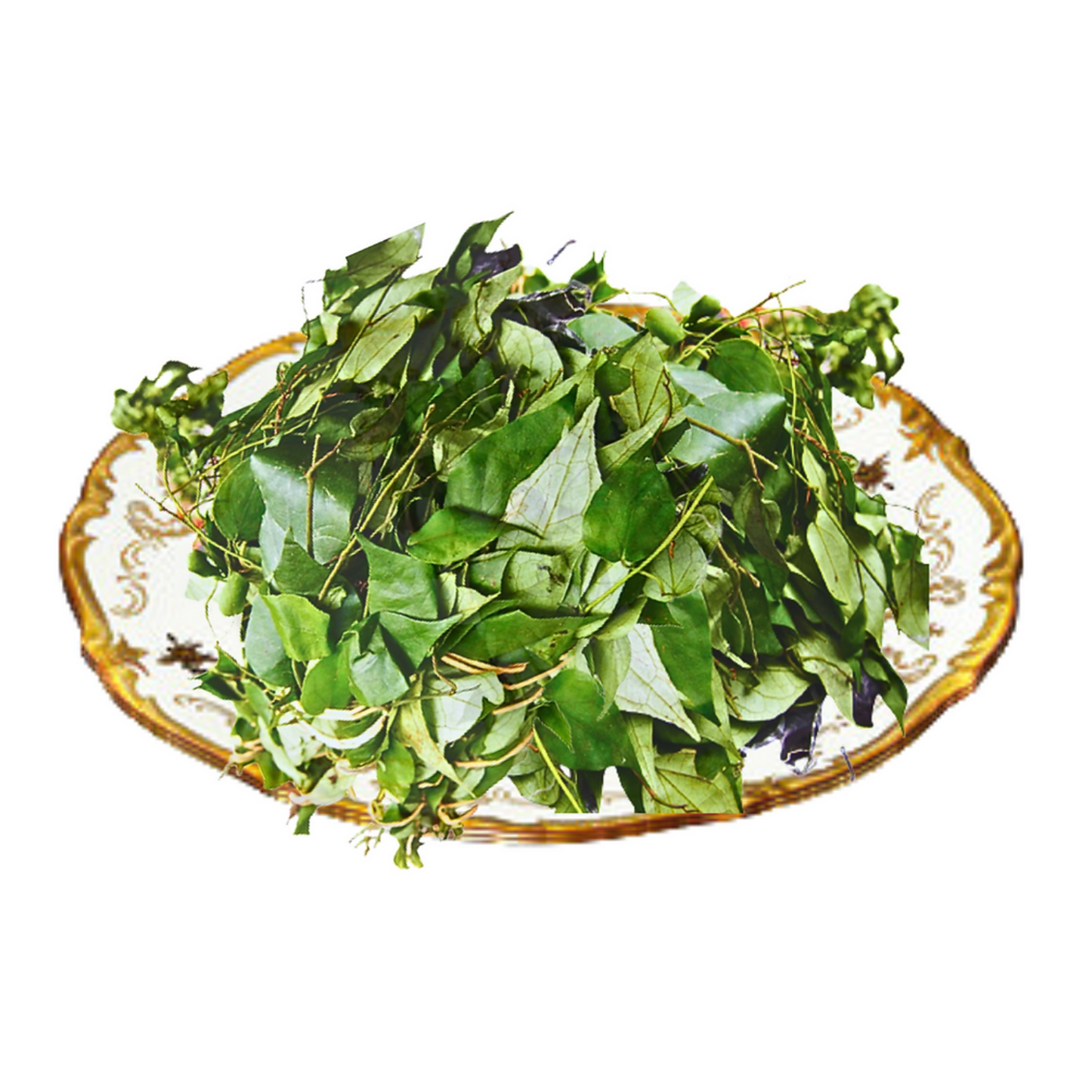 uziza leaves