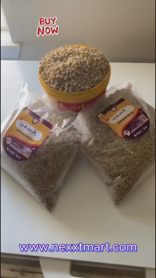 Ukwa – Dried African Breadfruit Seeds, Igbo Delicacy